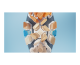 Sonicare A3 Premium All-in-one Black brush head - 2 pack