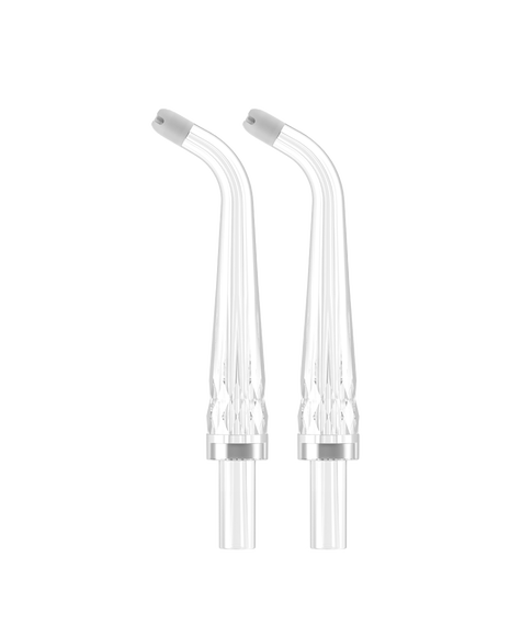 A10 Water Flosser Replacement Standard Nozzle Refills 2 Pack