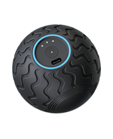 Theragun Wave Solo Roller Vibration Therapy