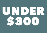 Gifts Under $300